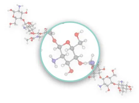  Chitosan: Vật Liệu Sinh Học Mới Tiến Trong Công Nghệ Y Tế & Nông Nghiệp!